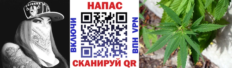 Где продают наркотики Дно Псилоцибиновые грибы Канабис