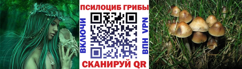 Галлюциногенные грибы мухоморы цены Дно